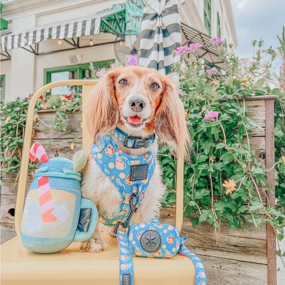 Sassy Woof Blue Dog Harness